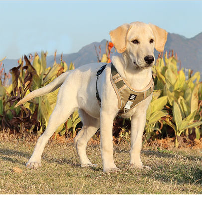 Cadeau de chien résistant à l'explosion grand harnais de poitrine de chien réfléchissant gros gilet de cadeau de chien cadeau de chien cadeau pour animaux de compagnie
