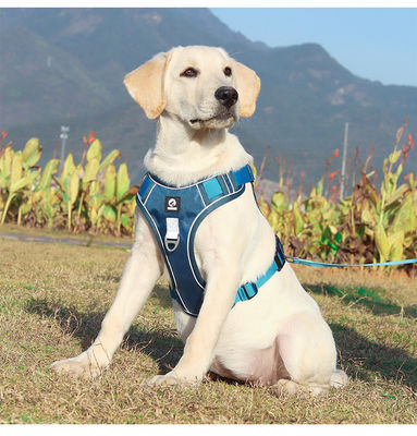 Cadeau de chien résistant à l'explosion grand harnais de poitrine de chien réfléchissant gros gilet de cadeau de chien cadeau de chien cadeau pour animaux de compagnie
