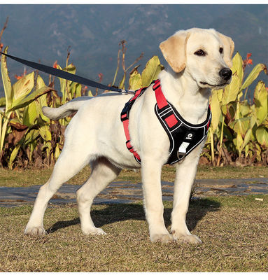 Cadeau de chien résistant à l'explosion grand harnais de poitrine de chien réfléchissant gros gilet de cadeau de chien cadeau de chien cadeau pour animaux de compagnie