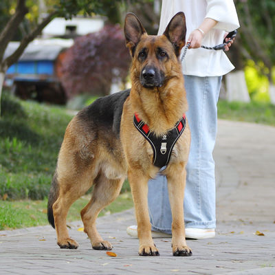Cadeau de chien résistant à l'explosion grand harnais de poitrine de chien réfléchissant gros gilet de cadeau de chien cadeau de chien cadeau pour animaux de compagnie