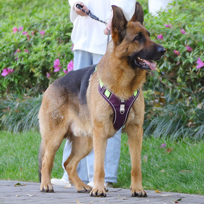 Cadeau de chien résistant à l'explosion grand harnais de poitrine de chien réfléchissant gros gilet de cadeau de chien cadeau de chien cadeau pour animaux de compagnie