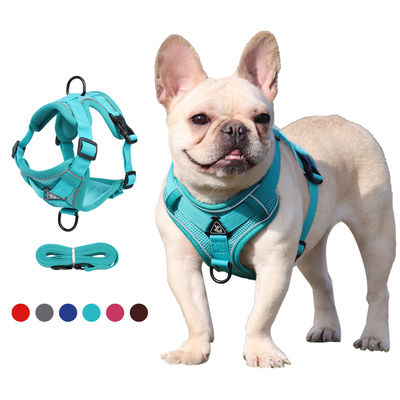 Coiffure pour chiens et chats de petite taille avec harnais pour animaux de compagnie à veste réfléchissante