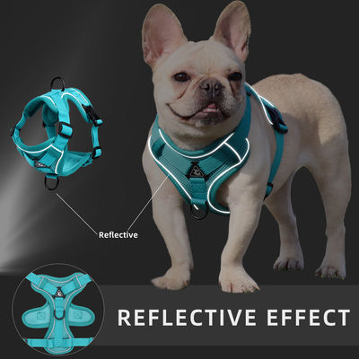 Coiffure pour chiens et chats de petite taille avec harnais pour animaux de compagnie à veste réfléchissante