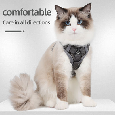 Coiffure pour chiens et chats de petite taille avec harnais pour animaux de compagnie à veste réfléchissante