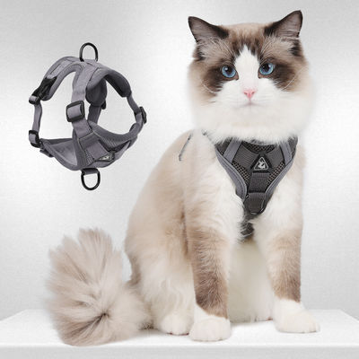 Coiffure pour chiens et chats de petite taille avec harnais pour animaux de compagnie à veste réfléchissante