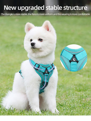 Coiffure pour chiens et chats de petite taille avec harnais pour animaux de compagnie à veste réfléchissante