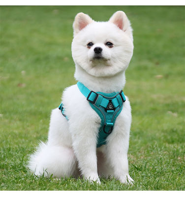 Coiffure pour chiens et chats de petite taille avec harnais pour animaux de compagnie à veste réfléchissante