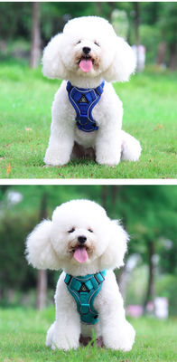 Coiffure pour chiens et chats de petite taille avec harnais pour animaux de compagnie à veste réfléchissante