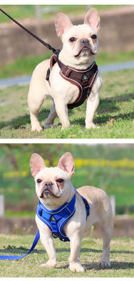 Coiffure pour chiens et chats de petite taille avec harnais pour animaux de compagnie à veste réfléchissante