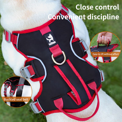 Armoires pour chiens pour chiens de petite et moyenne taille, laisse anti-échappée, laisse réfléchissante anti-échappée