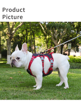 Armoires pour chiens pour chiens de petite et moyenne taille, laisse anti-échappée, laisse réfléchissante anti-échappée