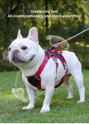 Armoires pour chiens pour chiens de petite et moyenne taille, laisse anti-échappée, laisse réfléchissante anti-échappée