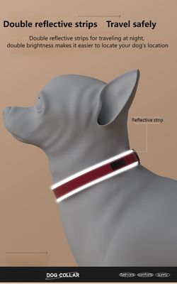 Collier anti-dérapage Collier anti-perte réfléchissant Collier réglable pour chiens de taille moyenne et grande
