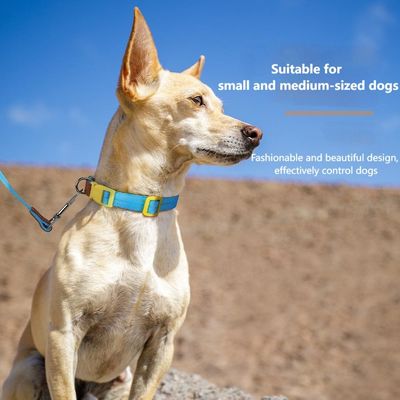 Ensemble de traction de cols pour chiens de petite et moyenne taille