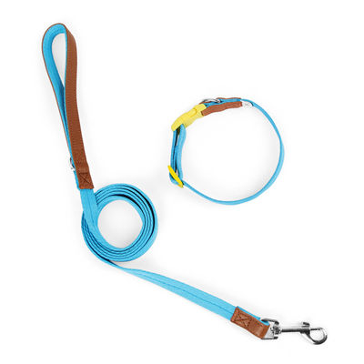Ensemble de traction de cols pour chiens de petite et moyenne taille
