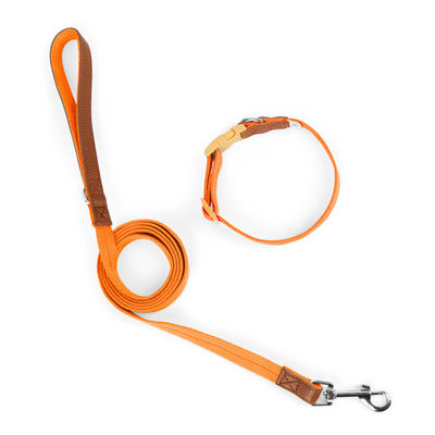 Ensemble de traction de cols pour chiens de petite et moyenne taille