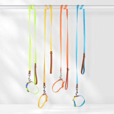 Ensemble de traction de cols pour chiens de petite et moyenne taille