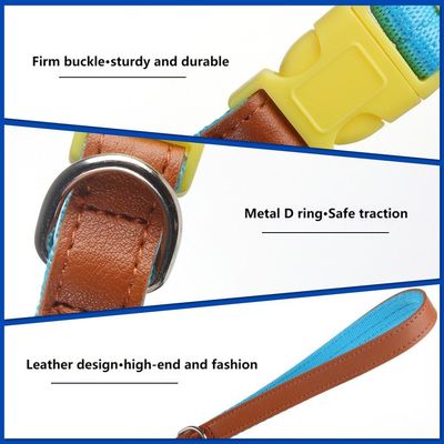 Ensemble de traction de cols pour chiens de petite et moyenne taille