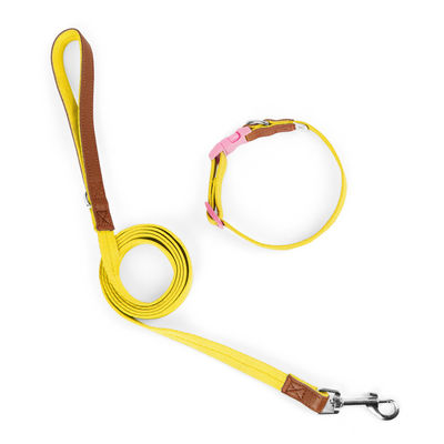 Ensemble de traction de cols pour chiens de petite et moyenne taille