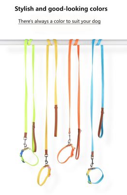 Ensemble de traction de cols pour chiens de petite et moyenne taille