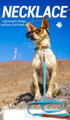 Ensemble de traction de cols pour chiens de petite et moyenne taille