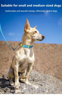 Ensemble de traction de cols pour chiens de petite et moyenne taille
